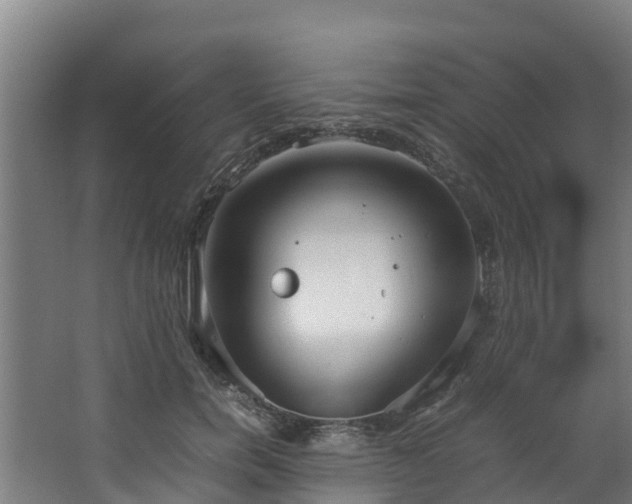 X0000067930750200604201456