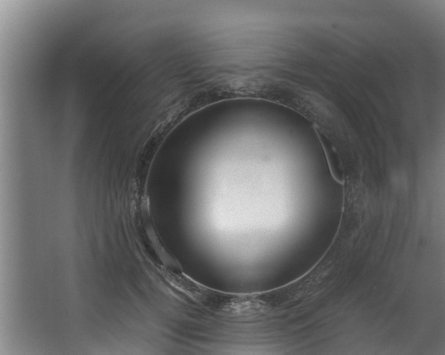 X0000067930752200604201456