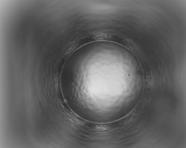 X0000067930753200604201456