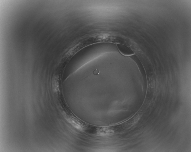 X0000067930754200604201456