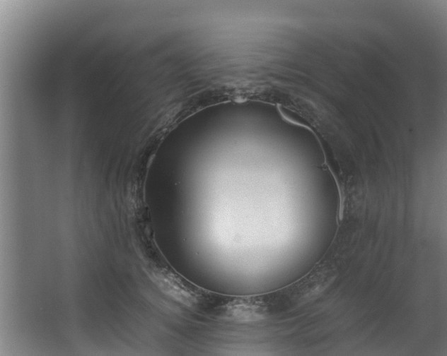 X0000067930756200604201456