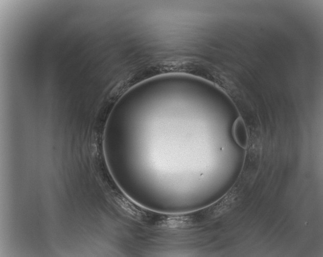 X0000067930758200604201456