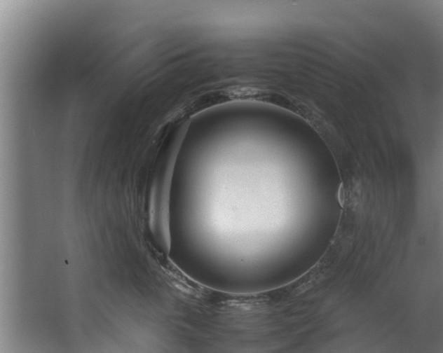 X0000067930763200604201456