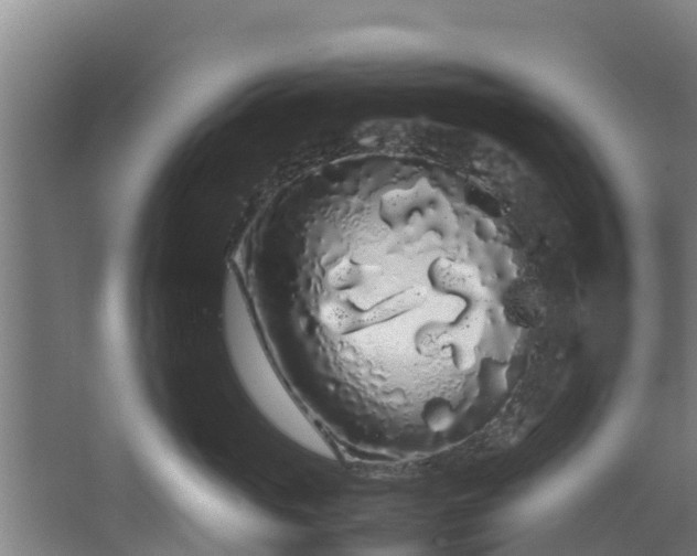 X0000067930765200604201456