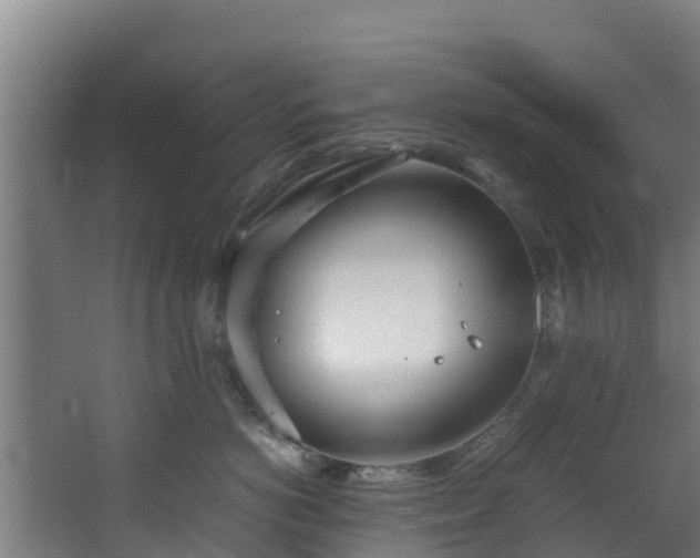 X0000067930766200604201456