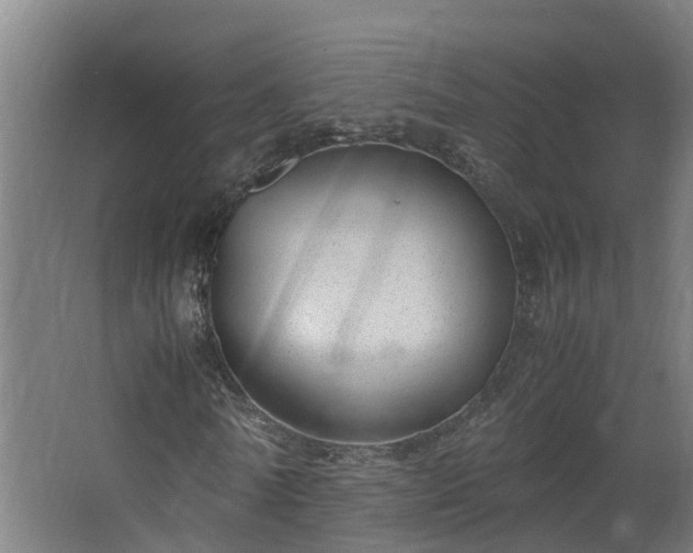 X0000067930770200604201455