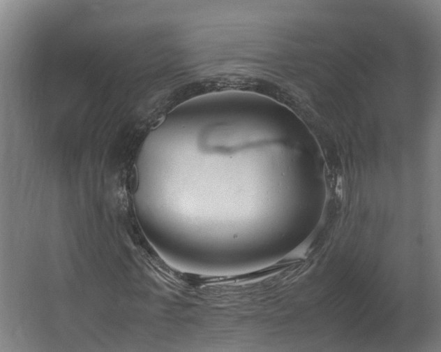 X0000067930771200604201455