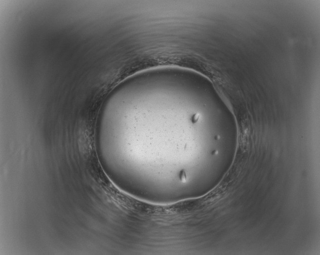 X0000067930772200604201455