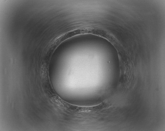 X0000067930773200604201455