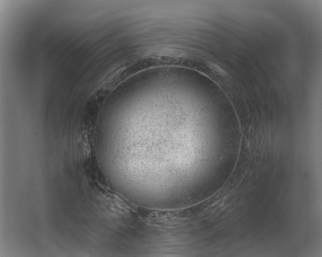 X0000067930774200604201455