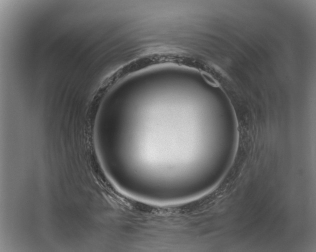 X0000067930775200604201455