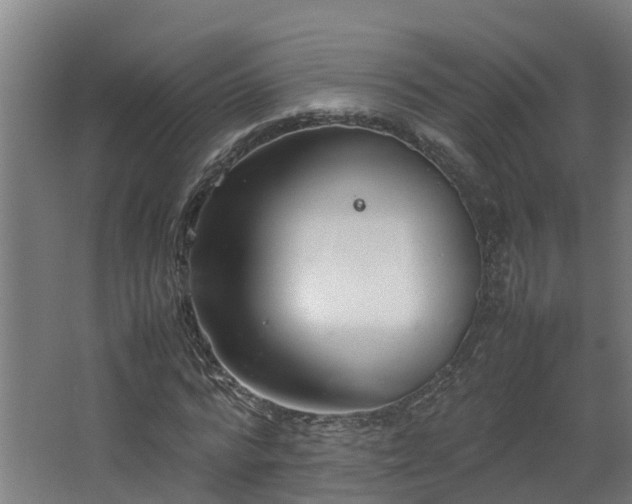 X0000067930776200604201455