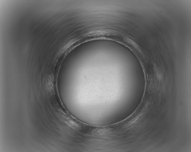 X0000067930778200604201455