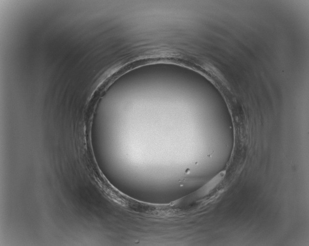 X0000067930781200604201455