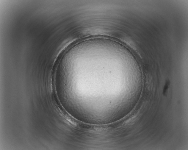 X0000067930782200604201455