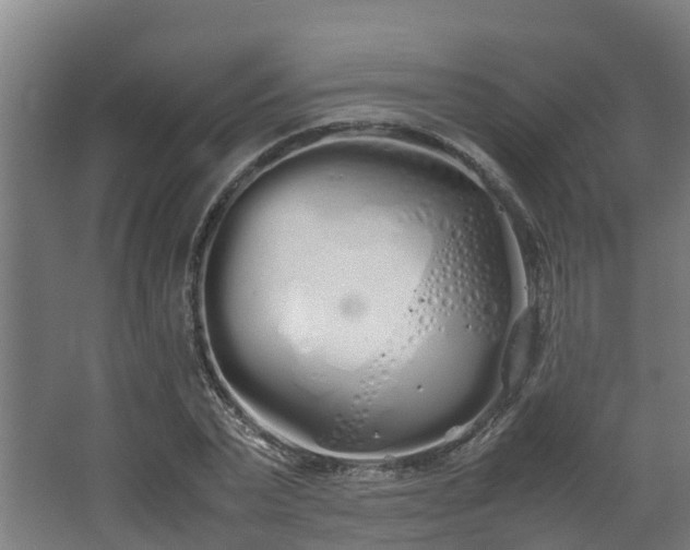 X0000067930783200604201455