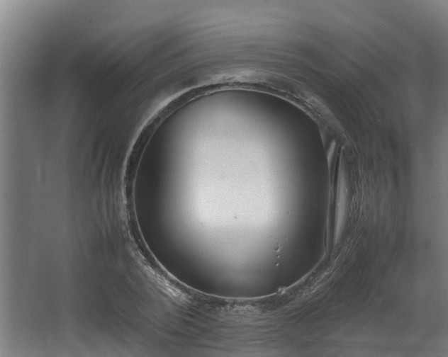 X0000067930784200604201455