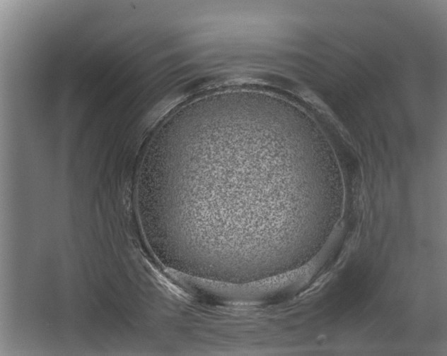 X0000067930785200604201455