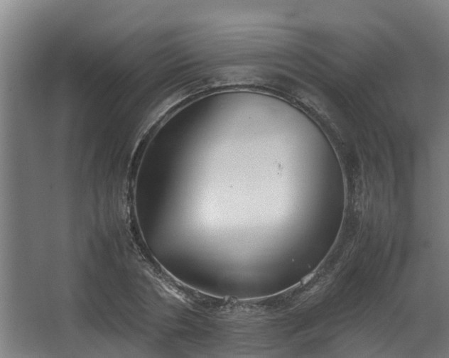 X0000067930786200604201455