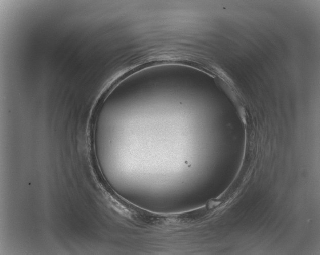 X0000067930787200604201455