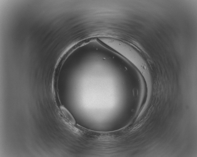 X0000067930788200604201455