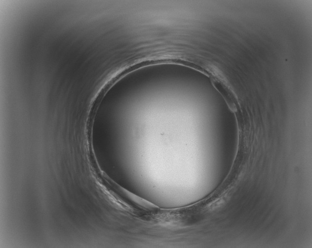 X0000067930789200604201455