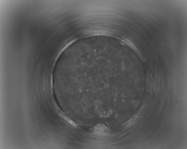 X0000067930790200604201455