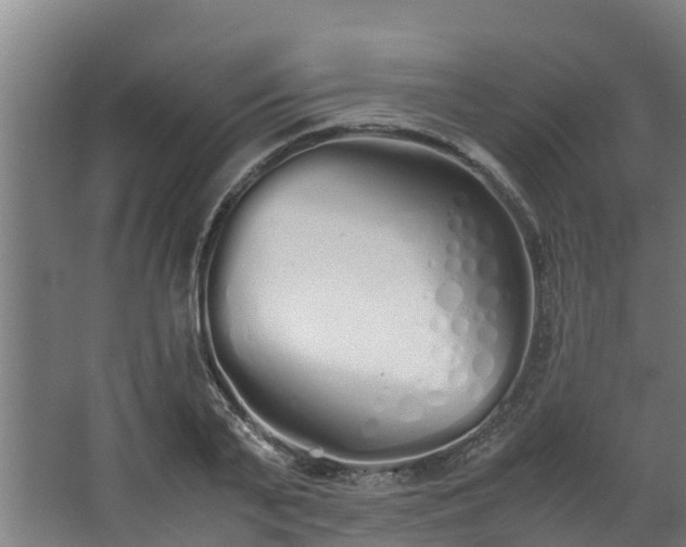 X0000067930791200604201455