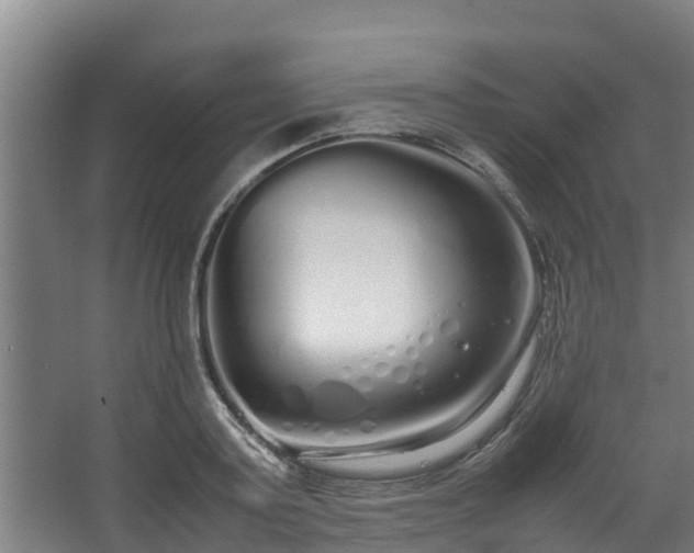 X0000067930795200604201455