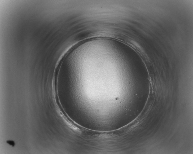 X0000067930796200604201455