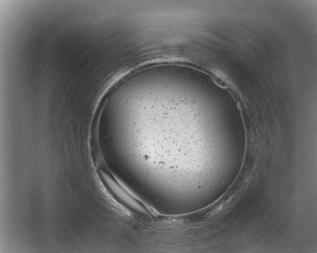 X0000067930797200604201455