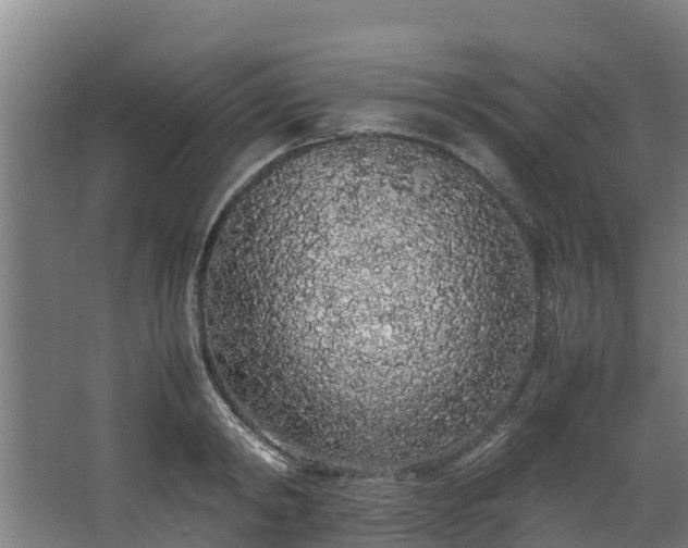 X0000067930798200604201455