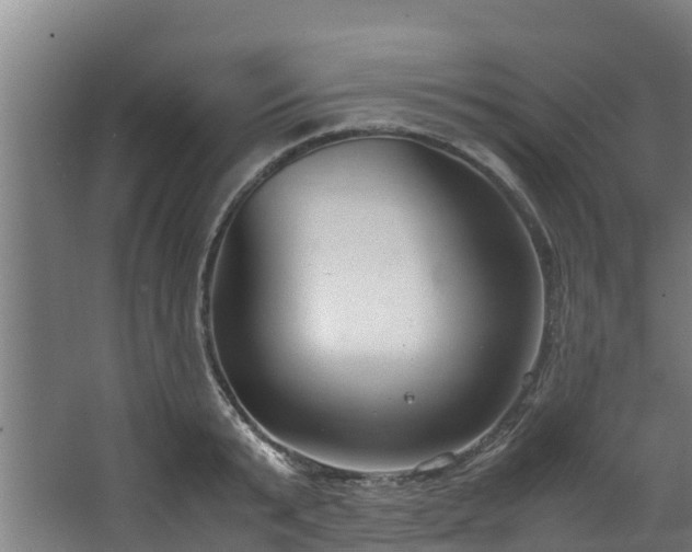 X0000067930799200604201455