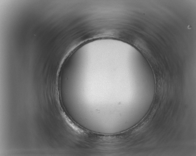 X0000067930800200604201455