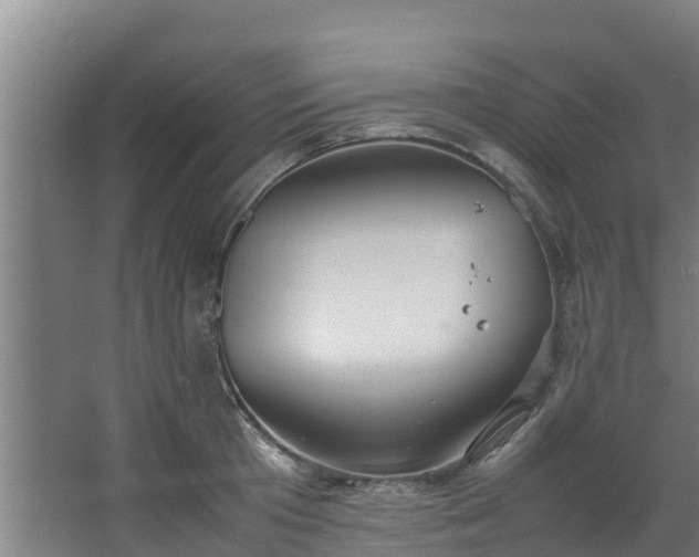 X0000067930801200604201455