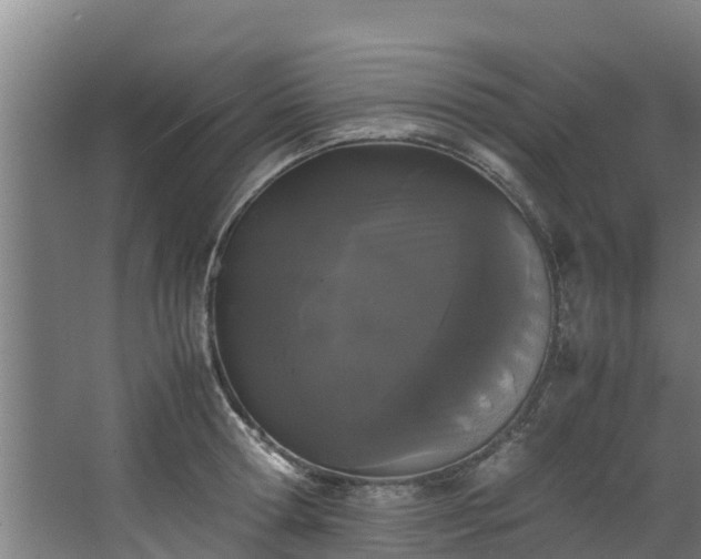 X0000067930802200604201455