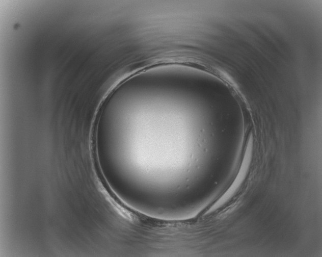 X0000067930803200604201455