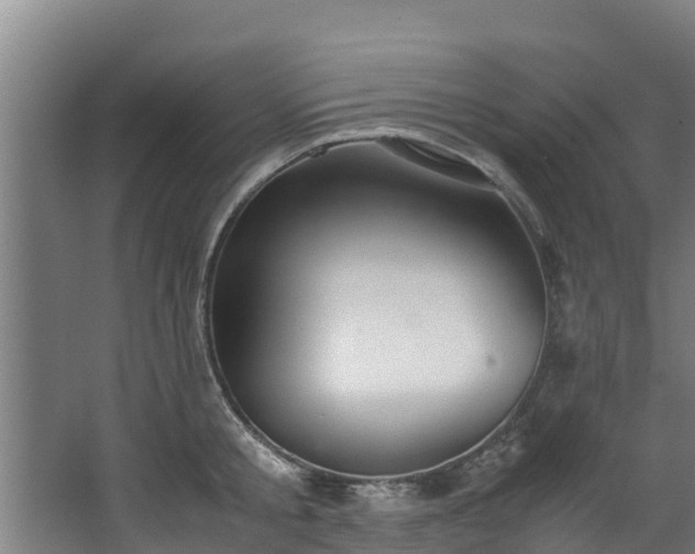 X0000067930805200604201455