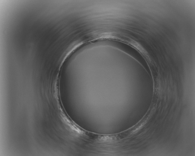 X0000067930806200604201455