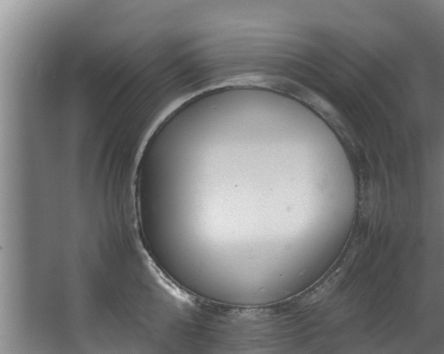 X0000067930808200604201455