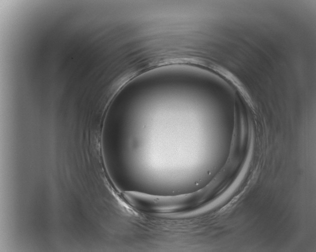 X0000067930809200604201454