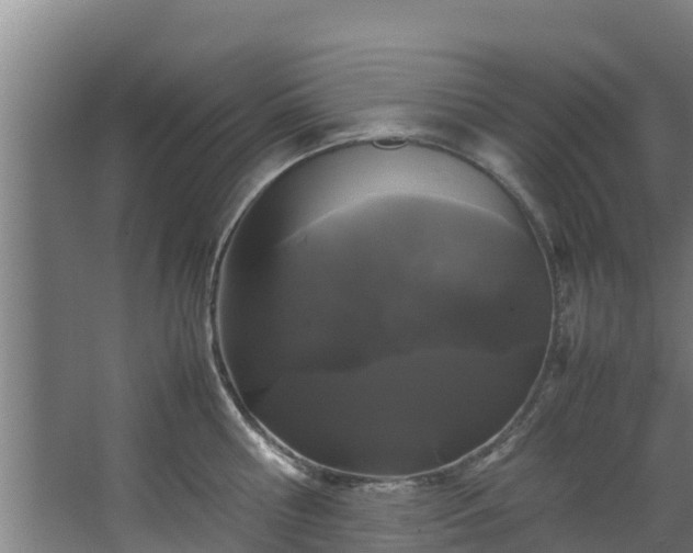 X0000067930810200604201454