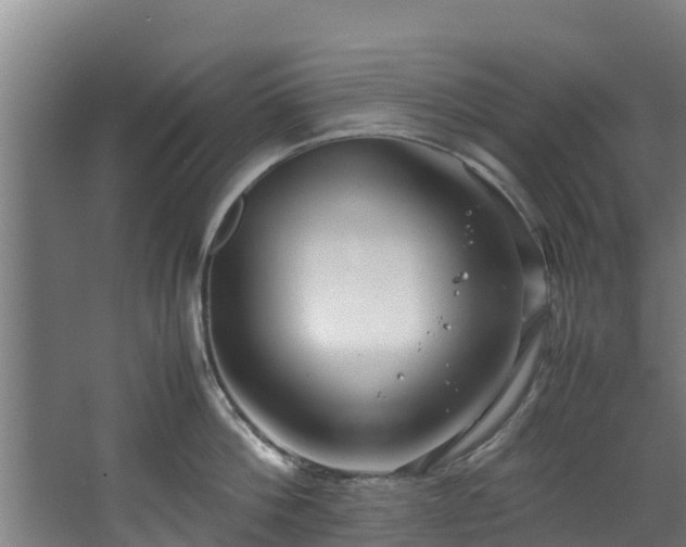 X0000067930812200604201454