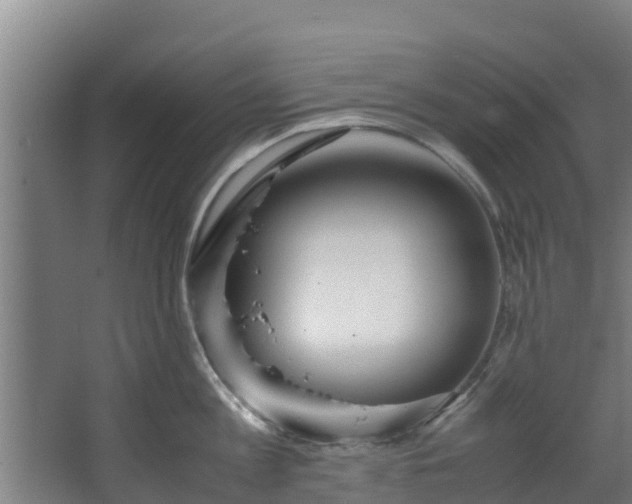 X0000067930813200604201454