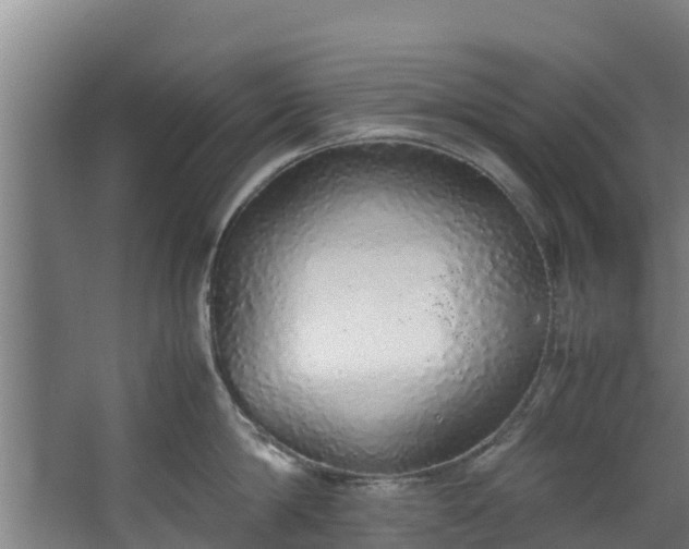 X0000067930814200604201454