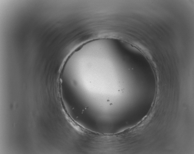 X0000067930816200604201454