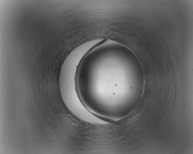 X0000067930818200604201454