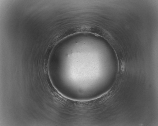 X0000067930819200604201454