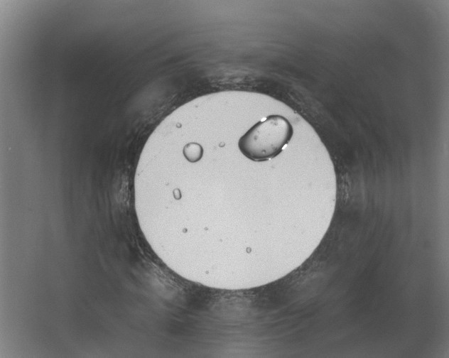 X0000067930820200604201454