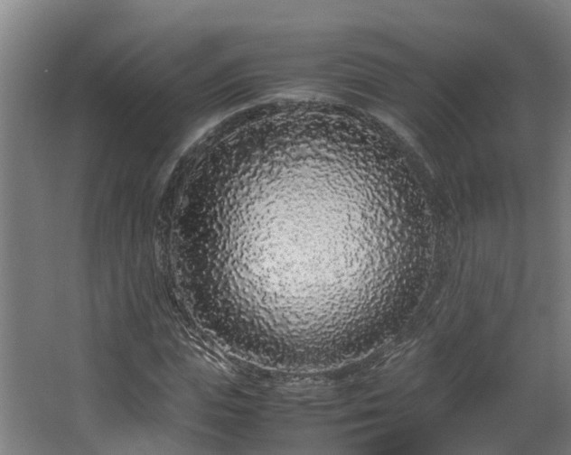 X0000067930823200604201454